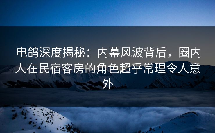 电鸽深度揭秘：内幕风波背后，圈内人在民宿客房的角色超乎常理令人意外