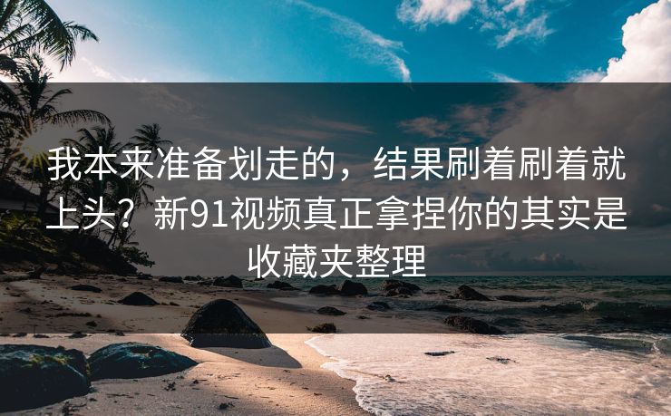 我本来准备划走的，结果刷着刷着就上头？新91视频真正拿捏你的其实是收藏夹整理